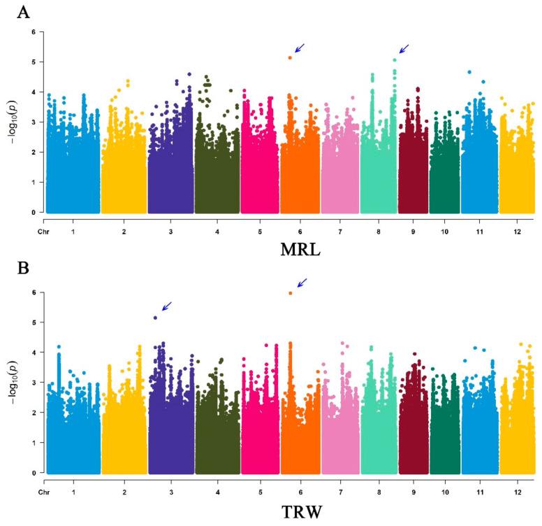 https://cdn.ncbi.nlm.nih.gov/pmc/blobs/80cf/7760126/ef3bb1efb0c5/genes-11-01395-g004.jpg
