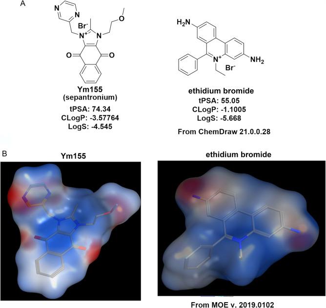 https://cdn.ncbi.nlm.nih.gov/pmc/blobs/80d0/9338953/c2211c4a6cb3/41598_2022_17446_Fig1_HTML.jpg