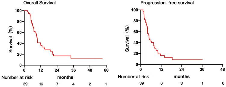 https://cdn.ncbi.nlm.nih.gov/pmc/blobs/80d1/10642359/798bacb16678/JHC-10-2037-g0002.jpg