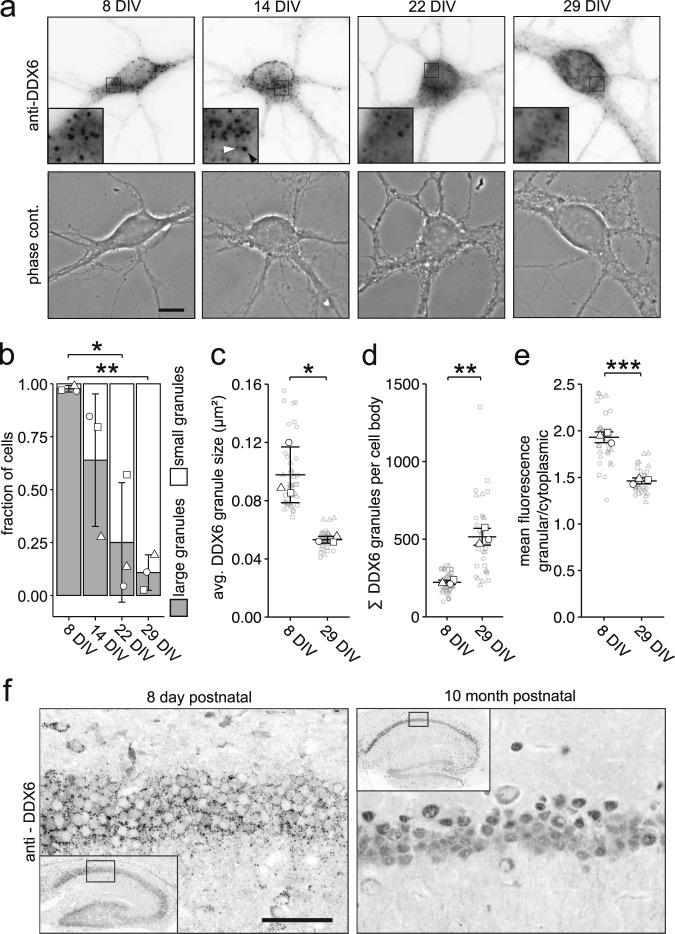 https://cdn.ncbi.nlm.nih.gov/pmc/blobs/80d1/9120520/3187f4f37cbf/41467_2022_30067_Fig1_HTML.jpg