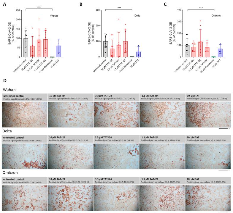 https://cdn.ncbi.nlm.nih.gov/pmc/blobs/80d2/12031635/10a1b6d45128/viruses-17-00458-g005.jpg