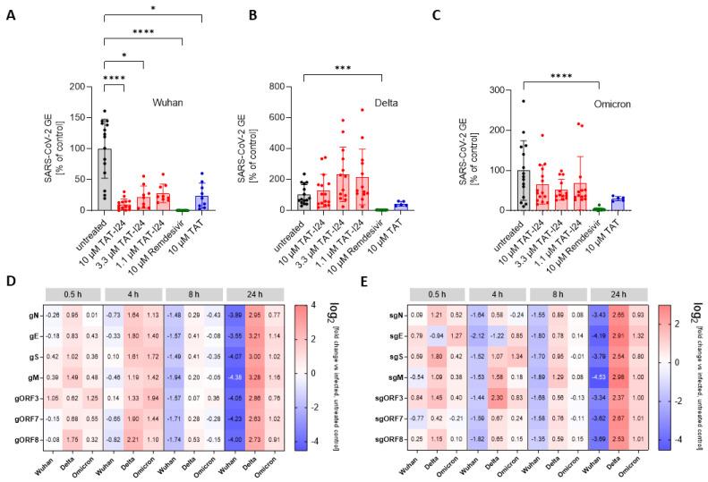 https://cdn.ncbi.nlm.nih.gov/pmc/blobs/80d2/12031635/6ba588d7dd7b/viruses-17-00458-g003.jpg