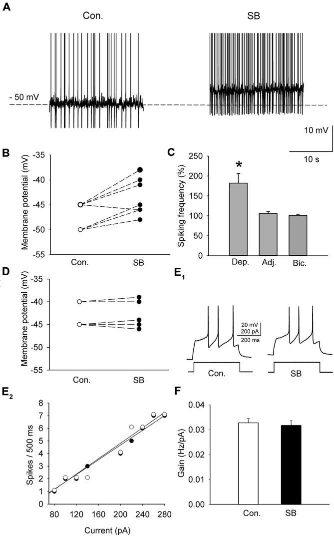 https://cdn.ncbi.nlm.nih.gov/pmc/blobs/80d2/4539517/f479ed98f3b0/fncel-09-00324-g0003.jpg