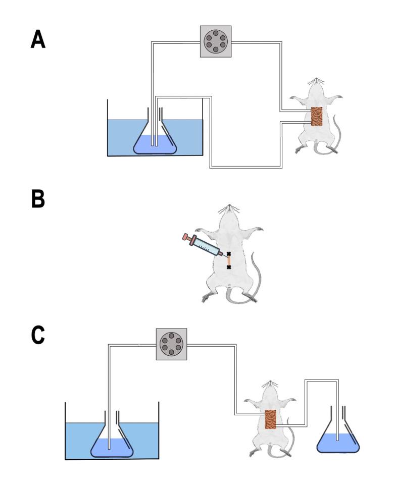 https://cdn.ncbi.nlm.nih.gov/pmc/blobs/80d3/11698746/6cce8e5f0fee/41598_2024_81823_Fig2_HTML.jpg