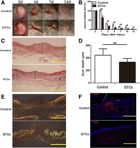 https://cdn.ncbi.nlm.nih.gov/pmc/blobs/80d5/4446126/0cfd7a5bc763/13287_2015_70_Fig3_HTML.jpg