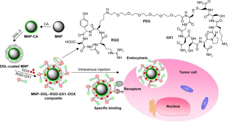 https://cdn.ncbi.nlm.nih.gov/pmc/blobs/80d6/5315215/5ea25c840636/ijn-12-1183Fig1.jpg