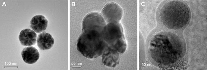 https://cdn.ncbi.nlm.nih.gov/pmc/blobs/80d6/5315215/d4473b9425d4/ijn-12-1183Fig2.jpg
