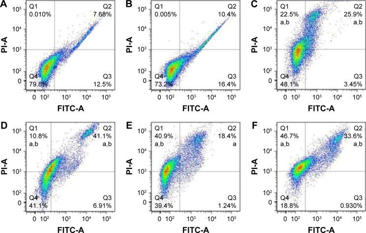 https://cdn.ncbi.nlm.nih.gov/pmc/blobs/80d6/5315215/eff9c2ff692b/ijn-12-1183Fig6.jpg
