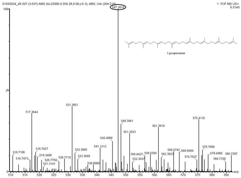https://cdn.ncbi.nlm.nih.gov/pmc/blobs/80d9/11998277/890ec5f0619f/fmicb-16-1548894-g007.jpg