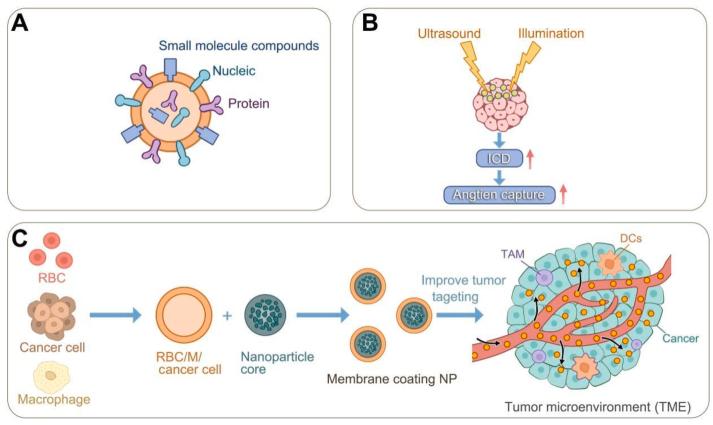 https://cdn.ncbi.nlm.nih.gov/pmc/blobs/80da/11365410/53da8296735e/gr1.jpg