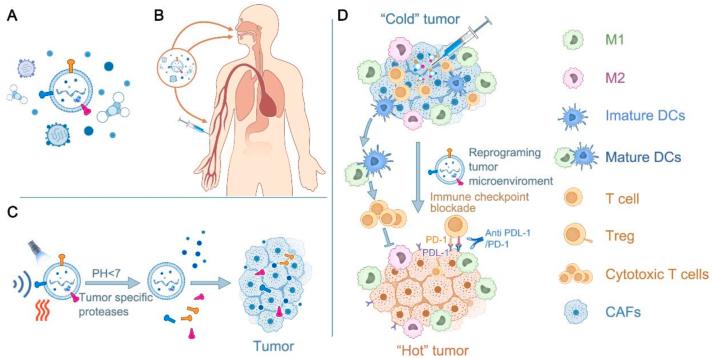 https://cdn.ncbi.nlm.nih.gov/pmc/blobs/80da/11365410/a1573b5d0ea9/gr5.jpg