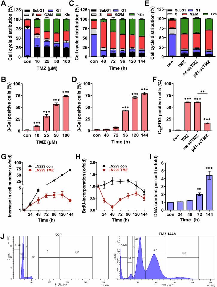 https://cdn.ncbi.nlm.nih.gov/pmc/blobs/80da/12049523/42908ecf57e7/41419_2025_7651_Fig1_HTML.jpg