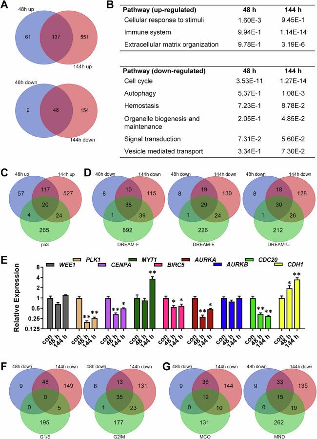https://cdn.ncbi.nlm.nih.gov/pmc/blobs/80da/12049523/5ed8ae6e93d9/41419_2025_7651_Fig3_HTML.jpg