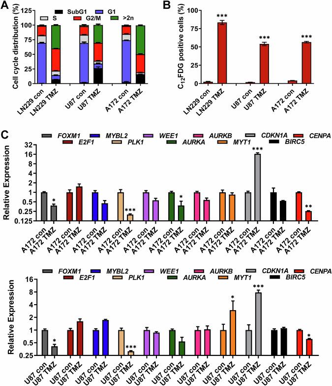 https://cdn.ncbi.nlm.nih.gov/pmc/blobs/80da/12049523/8b8988de57cf/41419_2025_7651_Fig5_HTML.jpg