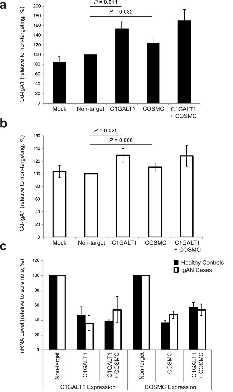 https://cdn.ncbi.nlm.nih.gov/pmc/blobs/80db/5328405/9b1193477e8d/pgen.1006609.g003.jpg