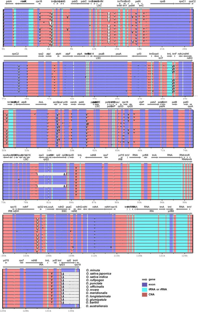 https://cdn.ncbi.nlm.nih.gov/pmc/blobs/80db/5339285/663564e7f7ad/fpls-08-00304-g0004.jpg