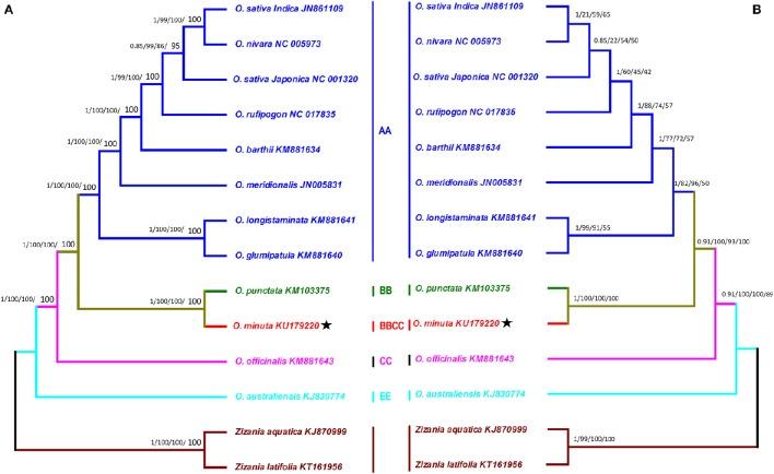 https://cdn.ncbi.nlm.nih.gov/pmc/blobs/80db/5339285/e3ad14c6ca48/fpls-08-00304-g0007.jpg