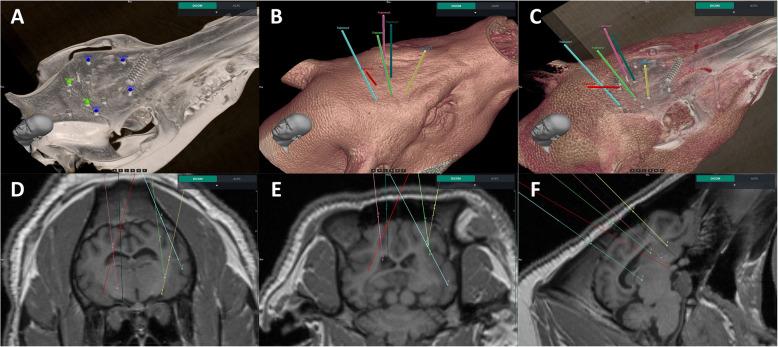 https://cdn.ncbi.nlm.nih.gov/pmc/blobs/80dc/12439361/19df1d40def4/41016_2025_401_Fig3_HTML.jpg