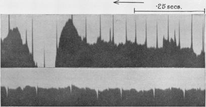 https://cdn.ncbi.nlm.nih.gov/pmc/blobs/80dc/1402853/e64c3b38d725/jphysiol01676-0074-a.jpg