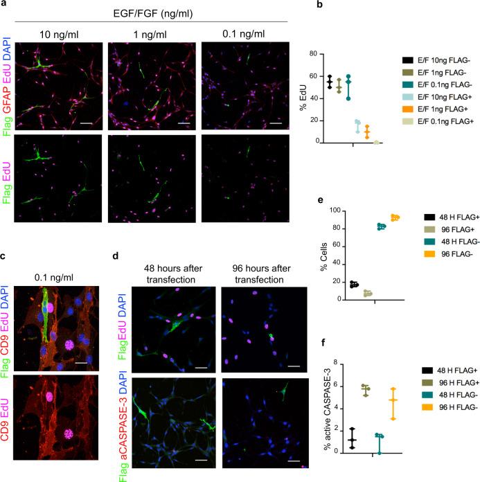 https://cdn.ncbi.nlm.nih.gov/pmc/blobs/80de/8110534/bc4f2e9f5500/41467_2021_22813_Fig6_HTML.jpg