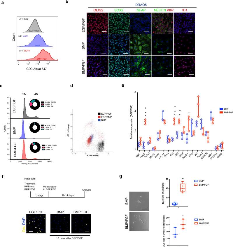 https://cdn.ncbi.nlm.nih.gov/pmc/blobs/80de/8110534/d489c56e3490/41467_2021_22813_Fig2_HTML.jpg