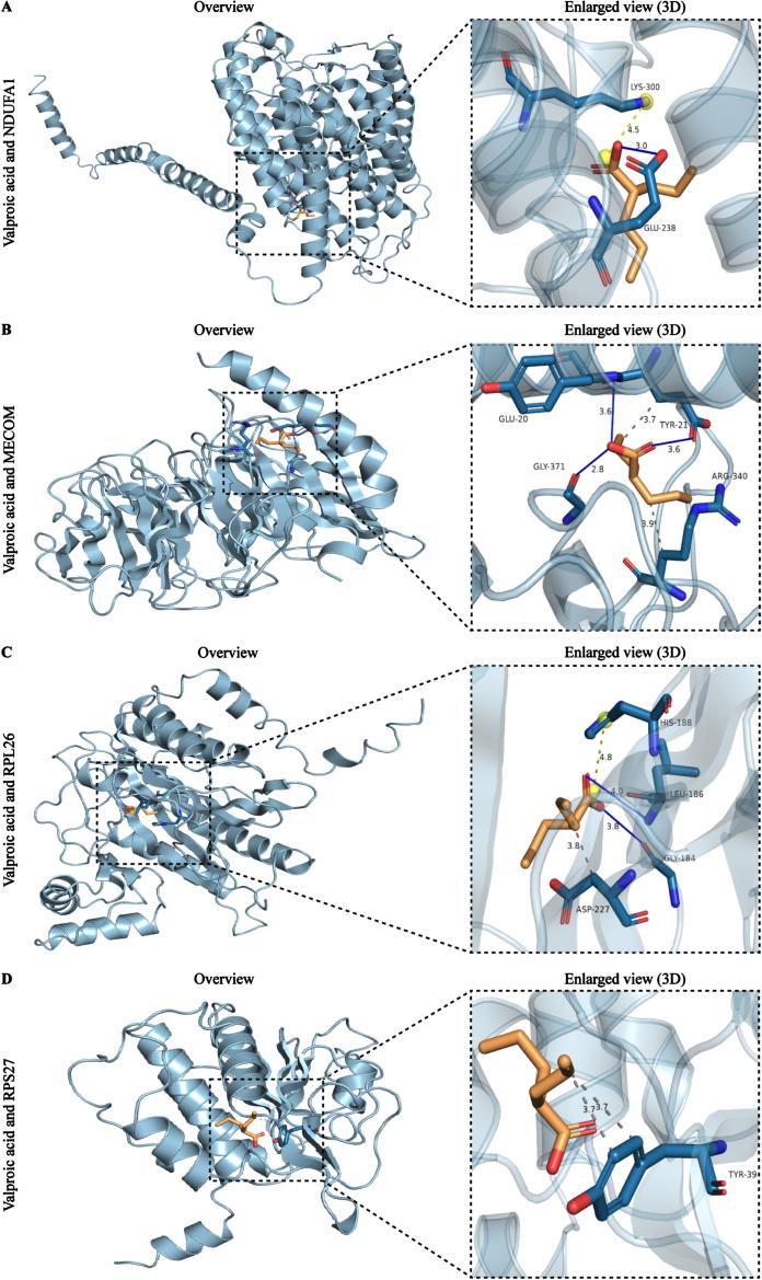 https://cdn.ncbi.nlm.nih.gov/pmc/blobs/80e1/11380308/e9d5e13100fd/jad-100-jad240301-g010.jpg