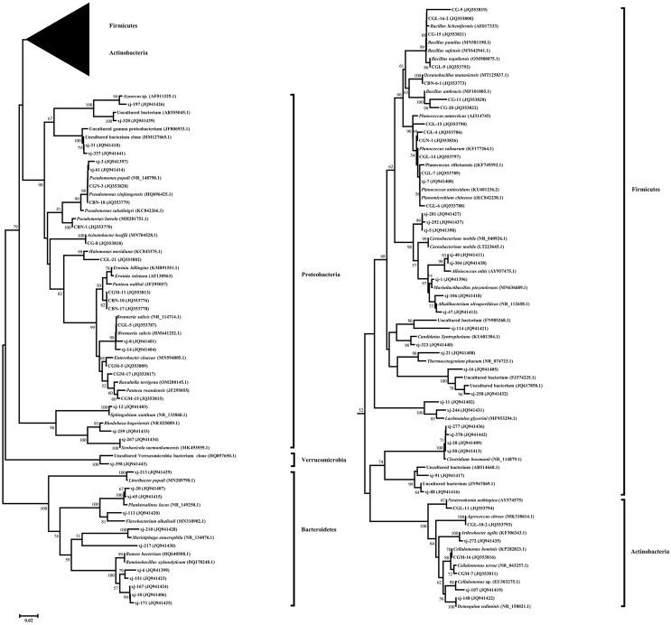 https://cdn.ncbi.nlm.nih.gov/pmc/blobs/80e5/10470447/2872723c588a/peerj-11-15934-g002.jpg