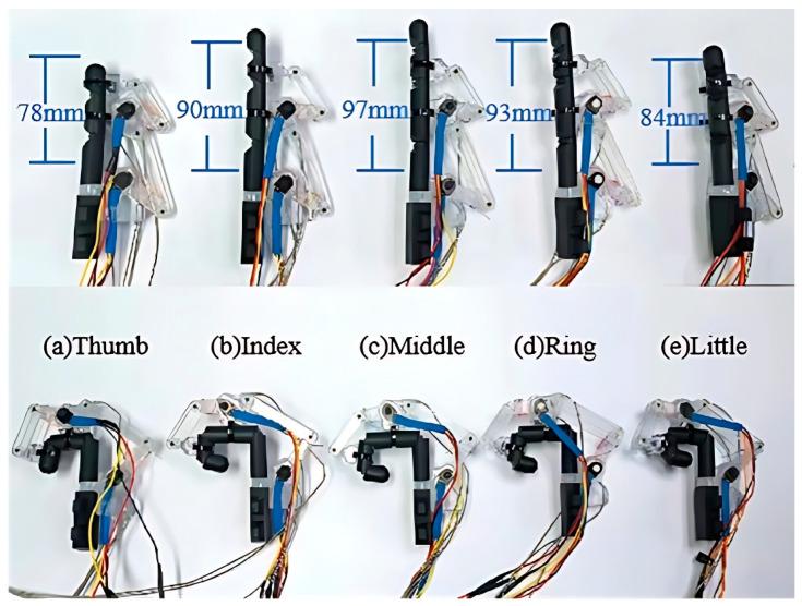 https://cdn.ncbi.nlm.nih.gov/pmc/blobs/80e6/11352026/42eb957ea734/bioengineering-11-00754-g005.jpg