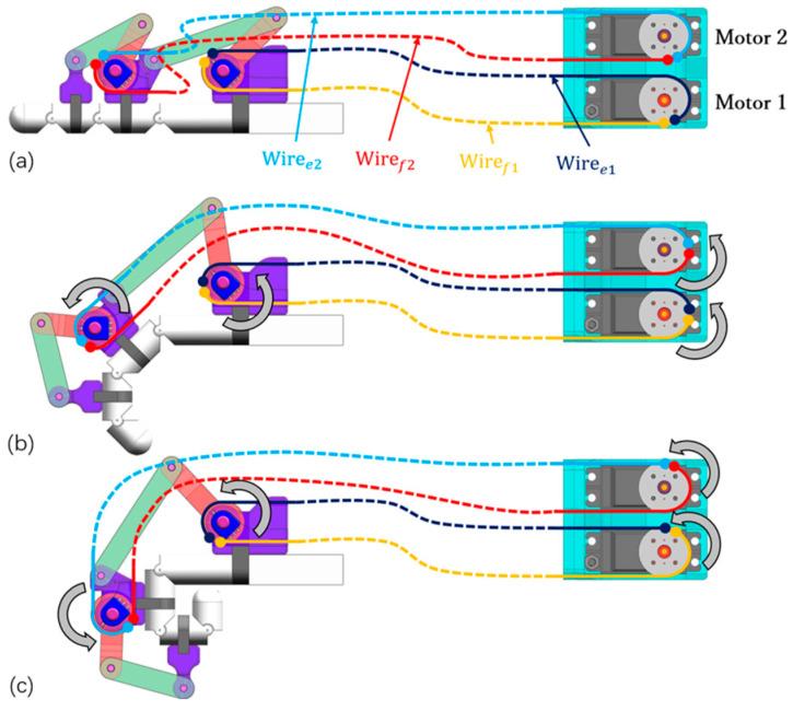 https://cdn.ncbi.nlm.nih.gov/pmc/blobs/80e6/11352026/8c4efbe9a58e/bioengineering-11-00754-g003.jpg