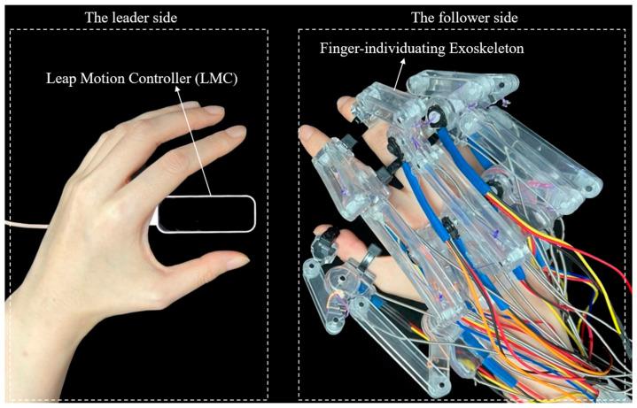 https://cdn.ncbi.nlm.nih.gov/pmc/blobs/80e6/11352026/d0b4aa6accf6/bioengineering-11-00754-g001.jpg