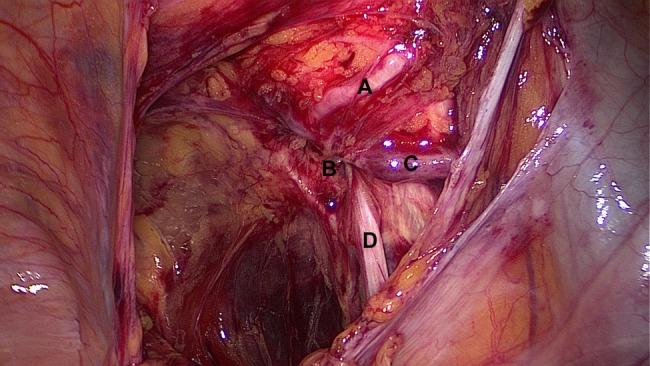 https://cdn.ncbi.nlm.nih.gov/pmc/blobs/80e6/4142338/b14cf513dd89/rju08102.jpg
