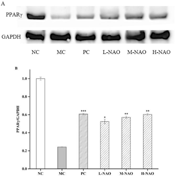 https://cdn.ncbi.nlm.nih.gov/pmc/blobs/80e7/6835453/998b1a1eb4f4/marinedrugs-17-00541-g009.jpg