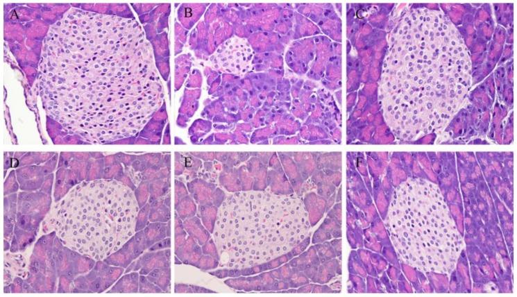 https://cdn.ncbi.nlm.nih.gov/pmc/blobs/80e7/6835453/f06d947756f1/marinedrugs-17-00541-g005.jpg