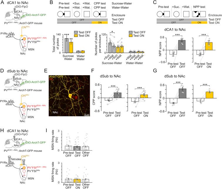 https://cdn.ncbi.nlm.nih.gov/pmc/blobs/80e9/6424821/3385810acb5f/figs7.jpg