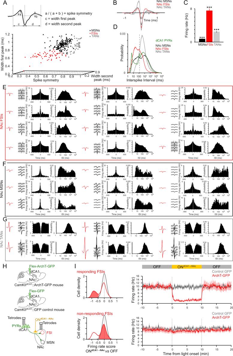 https://cdn.ncbi.nlm.nih.gov/pmc/blobs/80e9/6424821/66502bdd8bd4/figs5.jpg
