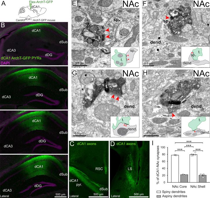 https://cdn.ncbi.nlm.nih.gov/pmc/blobs/80e9/6424821/6ce6044fd864/figs1.jpg