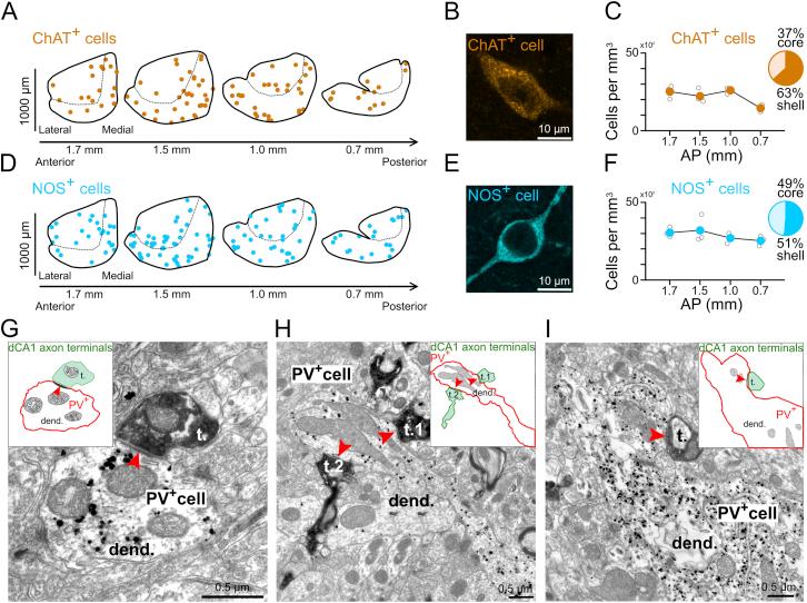 https://cdn.ncbi.nlm.nih.gov/pmc/blobs/80e9/6424821/9021733c0981/figs6.jpg
