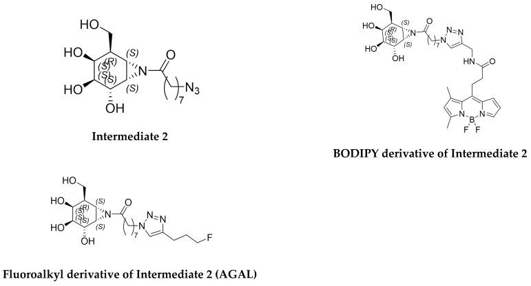https://cdn.ncbi.nlm.nih.gov/pmc/blobs/80ea/10609273/b5ceec5127f6/molecules-28-07144-g001.jpg