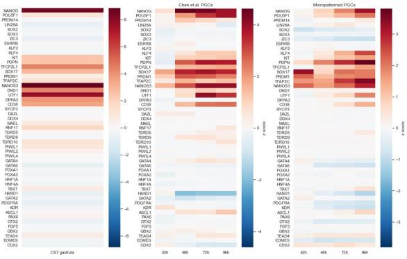 https://cdn.ncbi.nlm.nih.gov/pmc/blobs/80ea/9106331/29bbb75a4167/elife-72811-sa2-fig3.jpg
