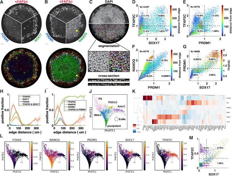 https://cdn.ncbi.nlm.nih.gov/pmc/blobs/80ea/9106331/a8271c985dba/elife-72811-fig1.jpg