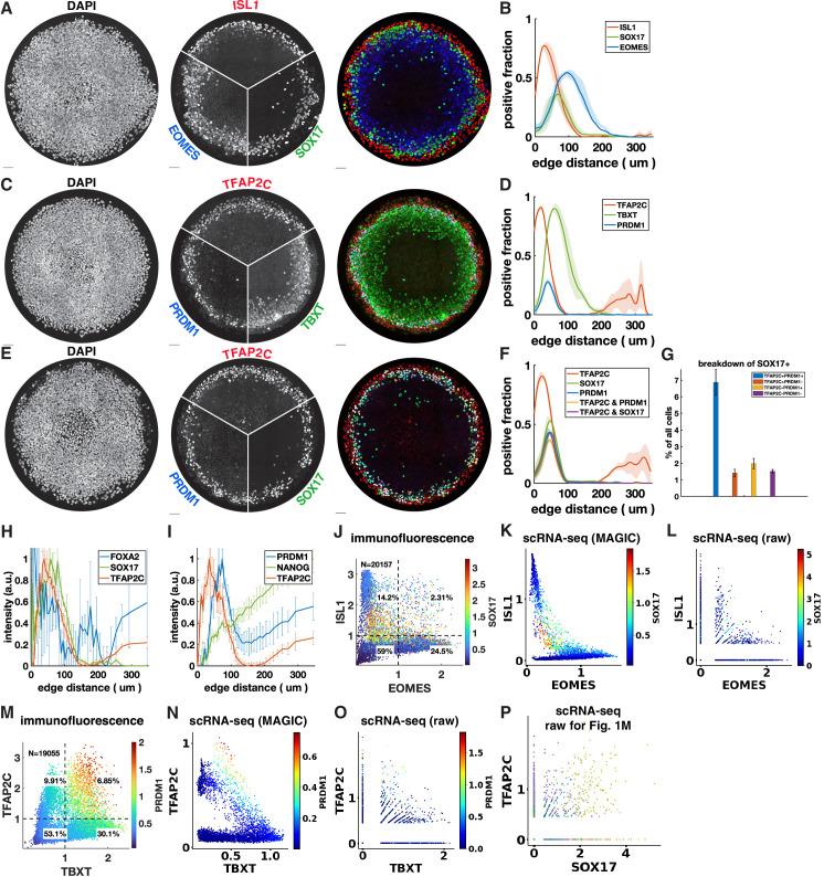https://cdn.ncbi.nlm.nih.gov/pmc/blobs/80ea/9106331/ee8ae83b7f10/elife-72811-fig1-figsupp1.jpg