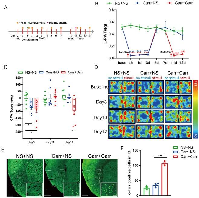 https://cdn.ncbi.nlm.nih.gov/pmc/blobs/80ed/10560575/23251c800965/bhad321f1.jpg