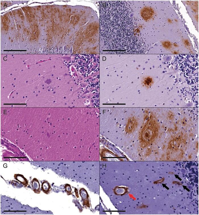 https://cdn.ncbi.nlm.nih.gov/pmc/blobs/80ed/10799296/4d862e7e0751/nlad107f3.jpg
