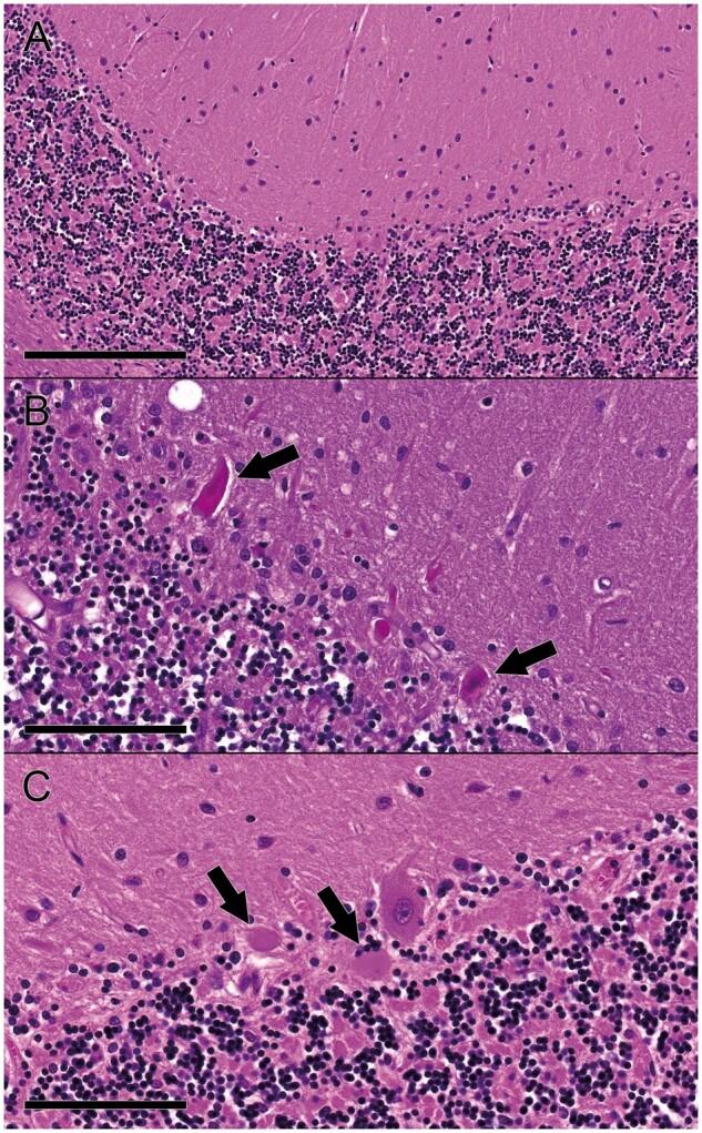 https://cdn.ncbi.nlm.nih.gov/pmc/blobs/80ed/10799296/f466650c4c0a/nlad107f2.jpg