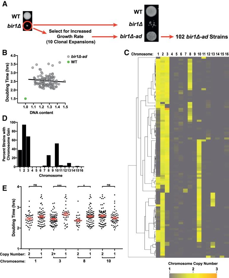 https://cdn.ncbi.nlm.nih.gov/pmc/blobs/80ee/6295164/feed17334bff/1485f01.jpg