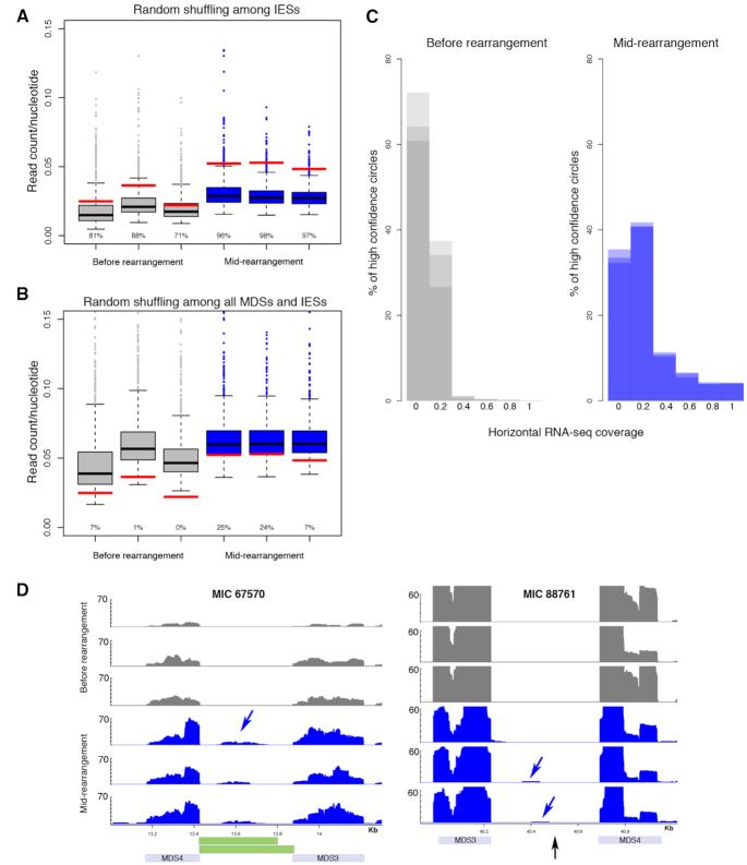 https://cdn.ncbi.nlm.nih.gov/pmc/blobs/80ee/6765146/b8e2838a09d3/gkz725fig8.jpg