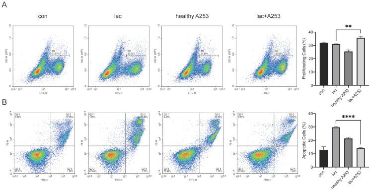 https://cdn.ncbi.nlm.nih.gov/pmc/blobs/80f1/10542019/4133c50386c5/ijmsv20p1256g006.jpg