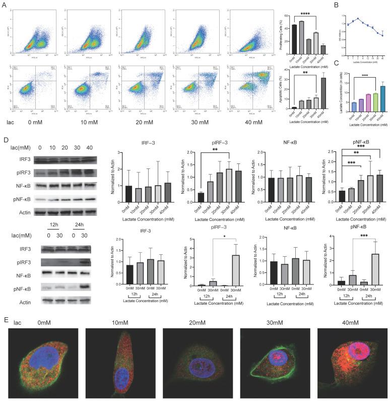 https://cdn.ncbi.nlm.nih.gov/pmc/blobs/80f1/10542019/b45ec6f358d8/ijmsv20p1256g002.jpg
