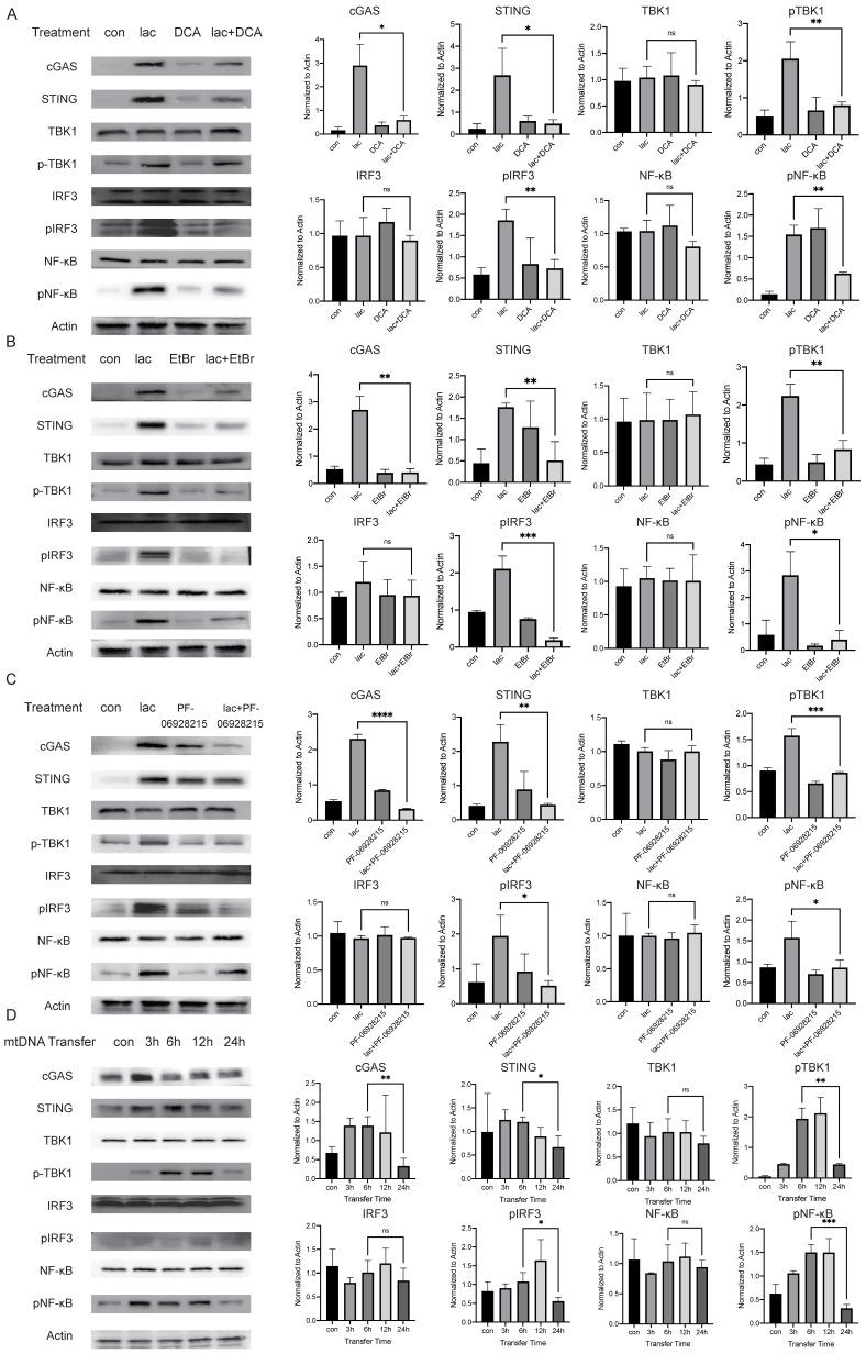 https://cdn.ncbi.nlm.nih.gov/pmc/blobs/80f1/10542019/f04105e1ceb2/ijmsv20p1256g004.jpg