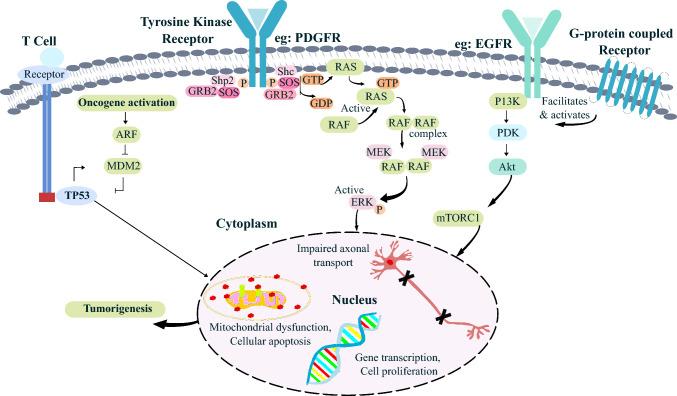 https://cdn.ncbi.nlm.nih.gov/pmc/blobs/80f1/12182518/1384d4703895/12032_2025_2830_Fig3_HTML.jpg